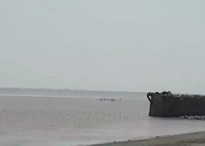 Sea Satya Day