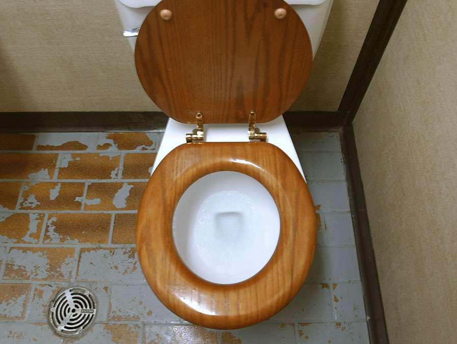 Toilet Bathroom Plumbing Toilet Seat Flush Satya Day