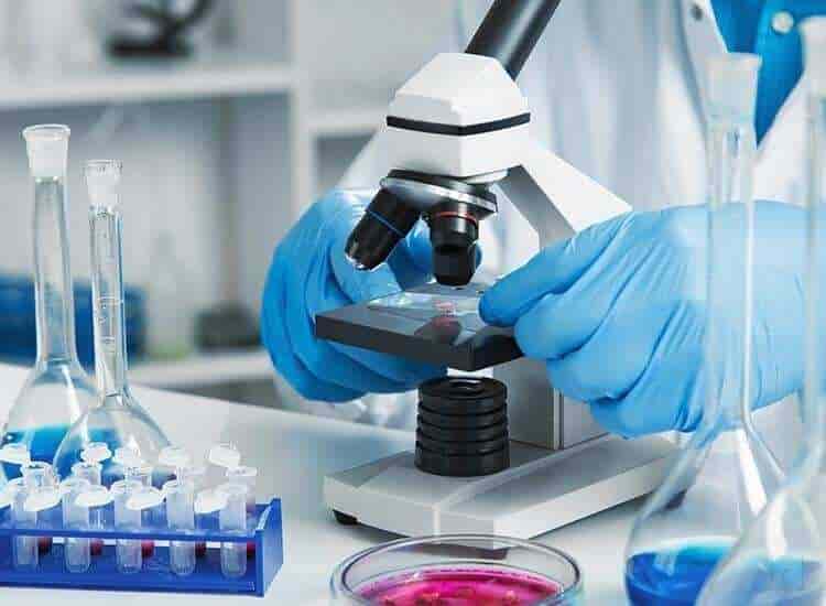 Default Pathology Labs 264 Satya Day