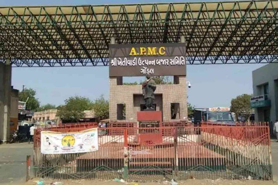 APMC GONDAL: વેપારીઓ દ્વારા સ્વૈચ્છીક લોકડાઉન, નવી આવકો બંધ કરાઈ Gondal 960X640 1 Satya Day