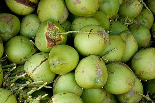Green Coconut Satya Day