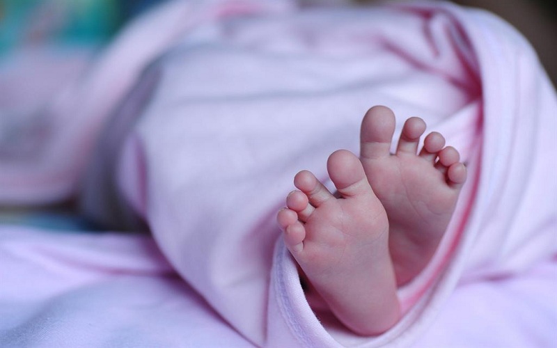 new baby born