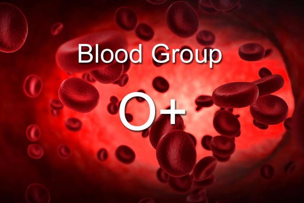 o blood group 1024x683 1