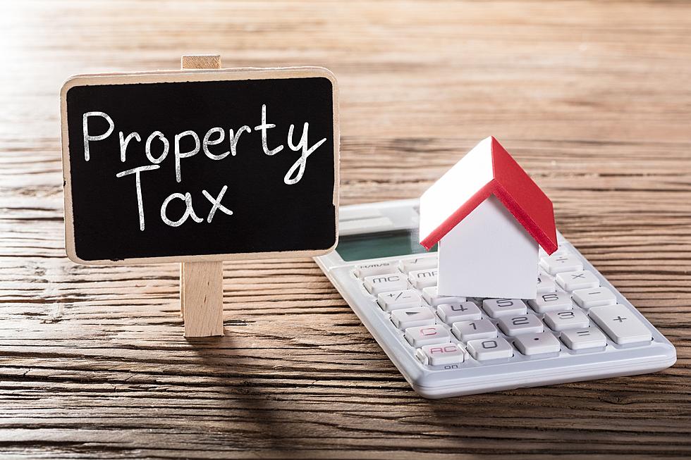 Property Tax Rebate Satya Day