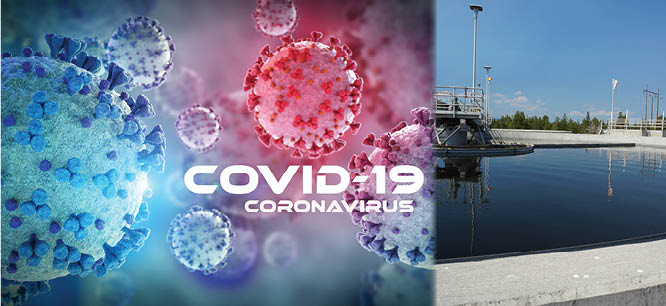 Covid Virus In Water Satya Day