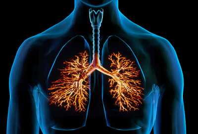 Lung Disorders Satya Day