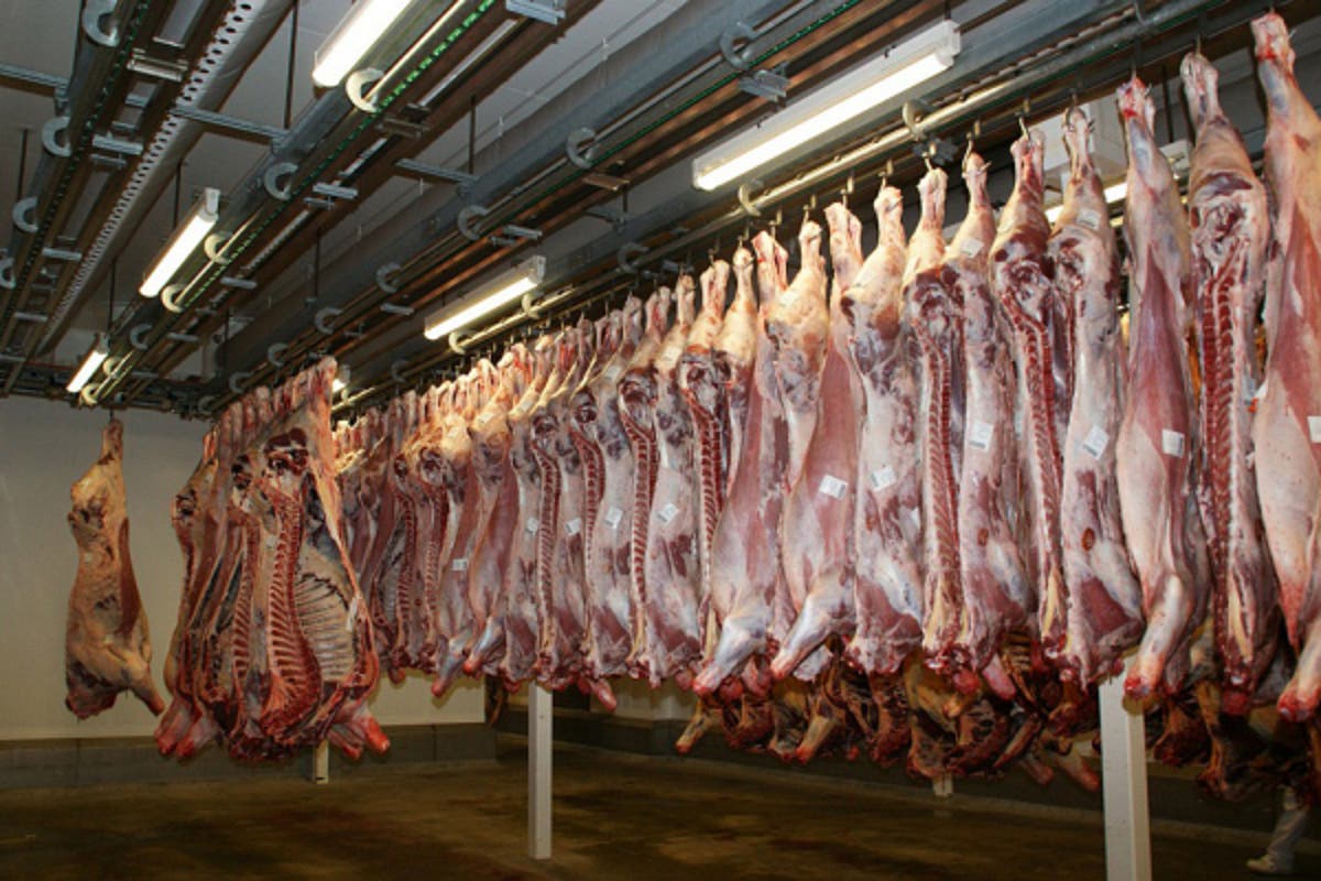 Donkey Abattoir E1507136661536 Satya Day