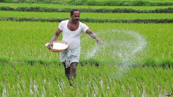 fertilizer prices rise