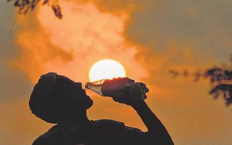 Heat Gujarat Satya Day