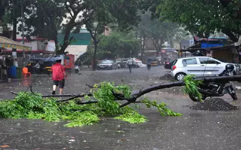 rain in Gujarat