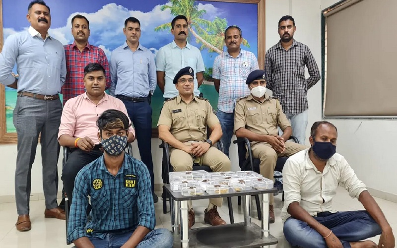 rajkot theft