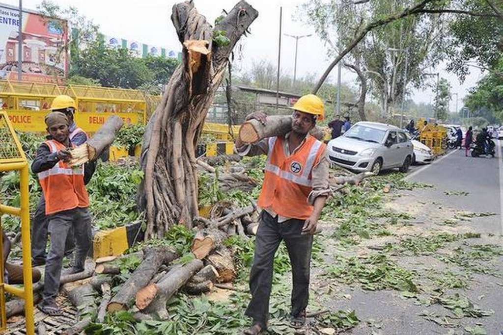 DELHI: કુદરતી સંપત્તિને નુકસાન : રાજધાનીને શું રણ બનાવી દેવી છે? દર કલાકે એક વૃક્ષ કપાય છે ! 11 4