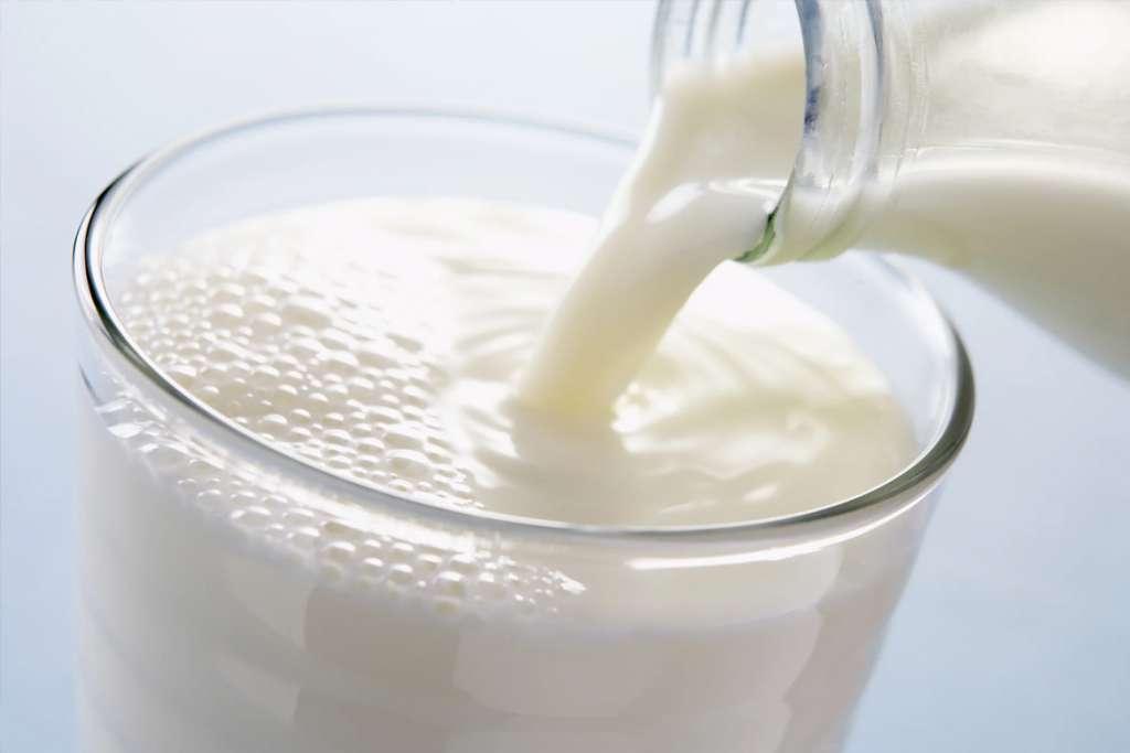 WORLD MILK DAY: આ દિવસને ઉજવવાનો ઉદ્દેશ ડેરી અથવા દૂધ ઉત્પાદન ક્ષેત્રમાં સ્થિરતા, આજીવિકા અને આર્થિક વિકાસને પ્રોત્સહન આપવાનો છે 3