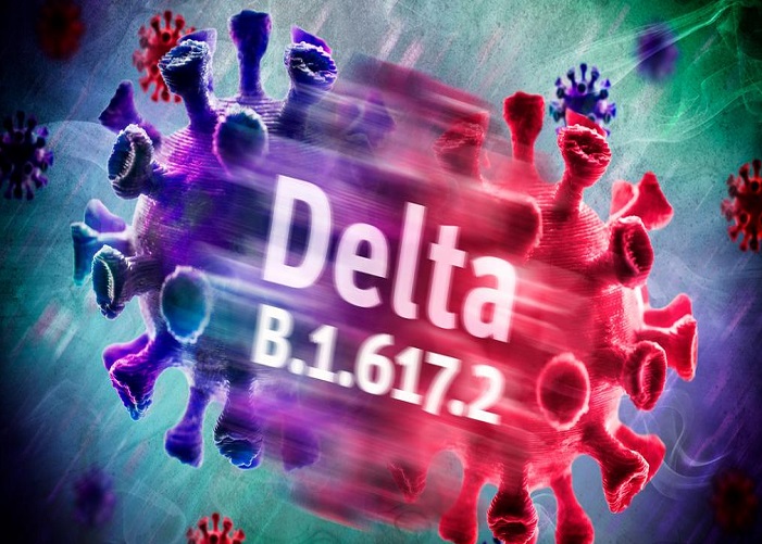 Corona Delta