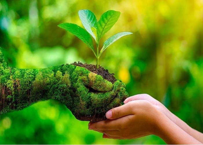 World Environment Day Satya Day