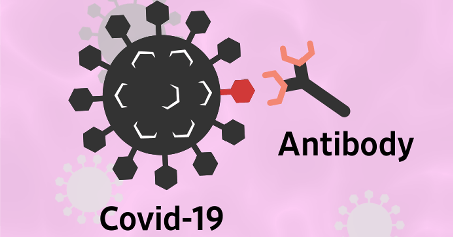 Covid Antibody Satya Day