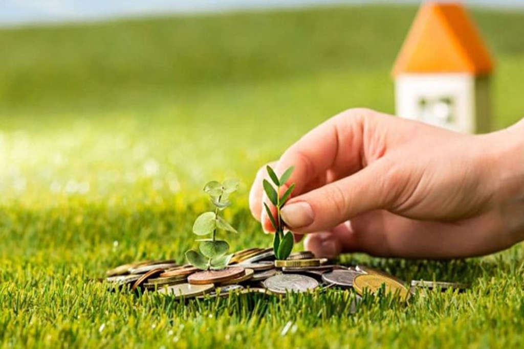 investment 01 1 1024x683 1