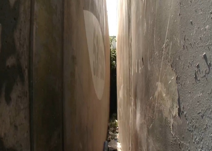 Woman Wall