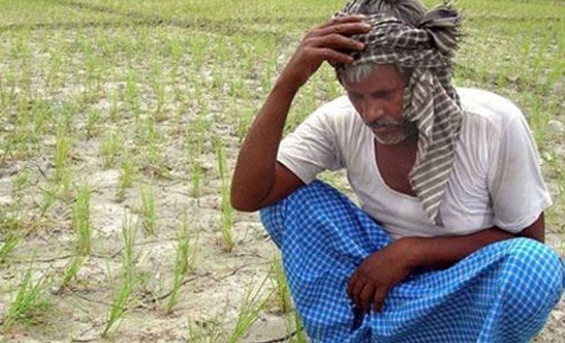 Farmers Debt Satya Day