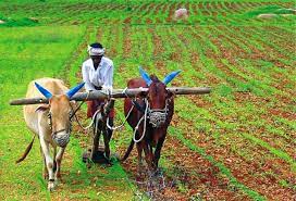 Kharif Crops Sowing Satya Day