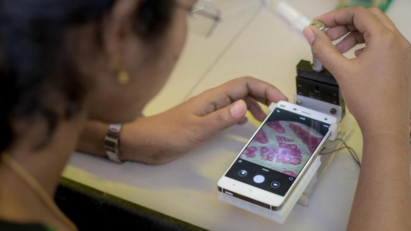 Low Cost Smartphone Satya Day