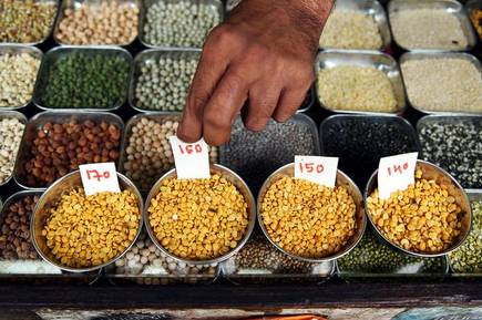 Pulses Satya Day