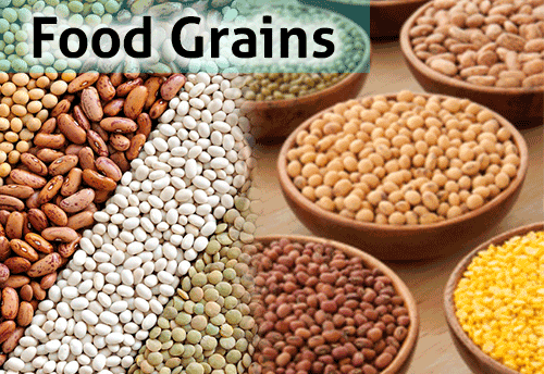 Foodgrain Satya Day