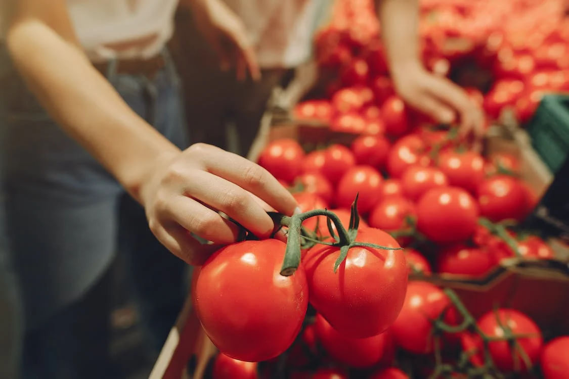 Tomato Storage Tips