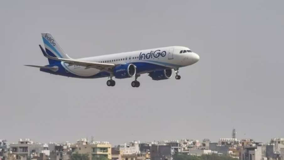 indigo