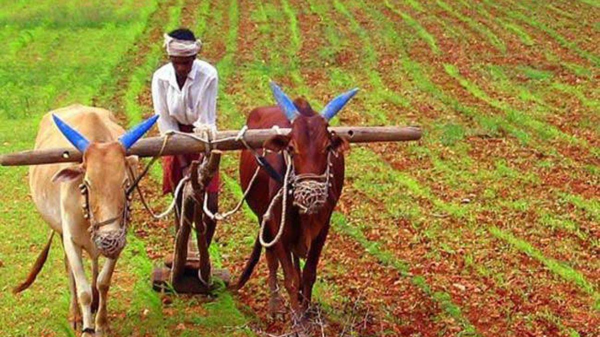 National Farmers Day