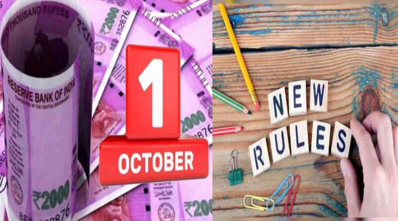 New Rules