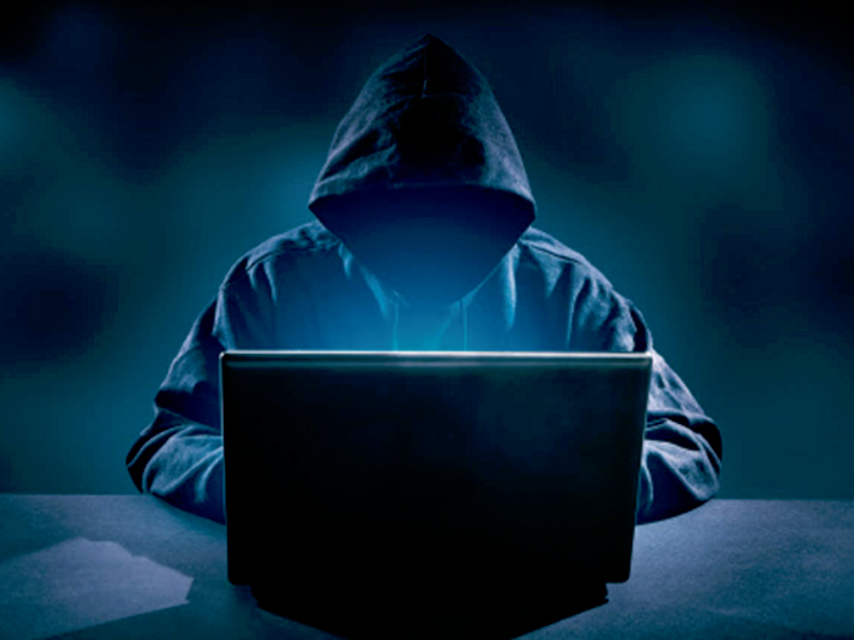 Hacker Satya Day