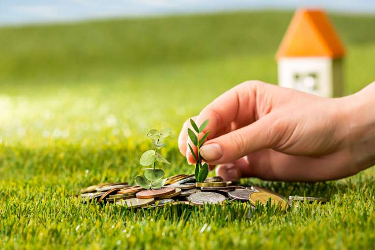 Plant Growing Coins Glass Jar Money Green Grass 1693984151 Satya Day
