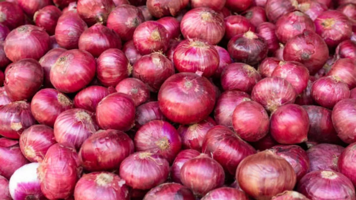 Onion Price