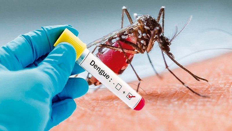 Malaria Vaccine