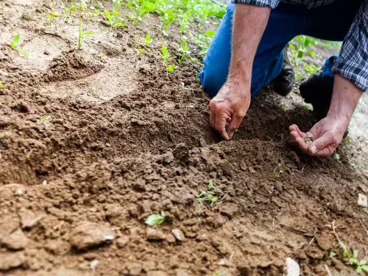 10th pass agriculture