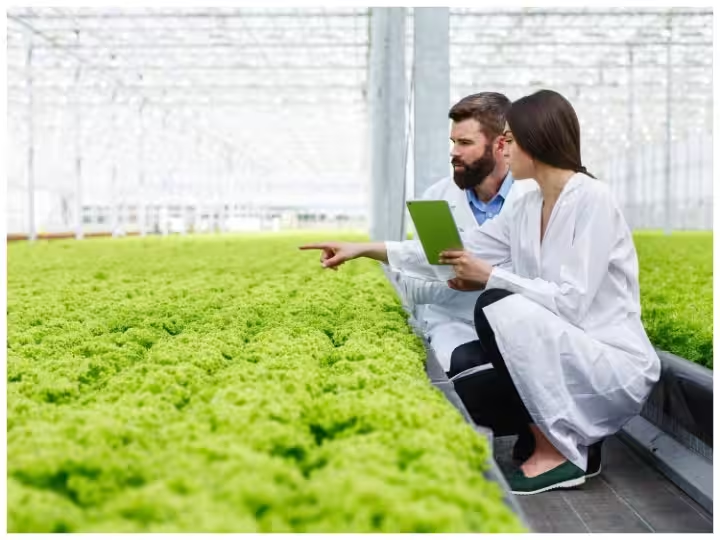 road to agriculturescientist