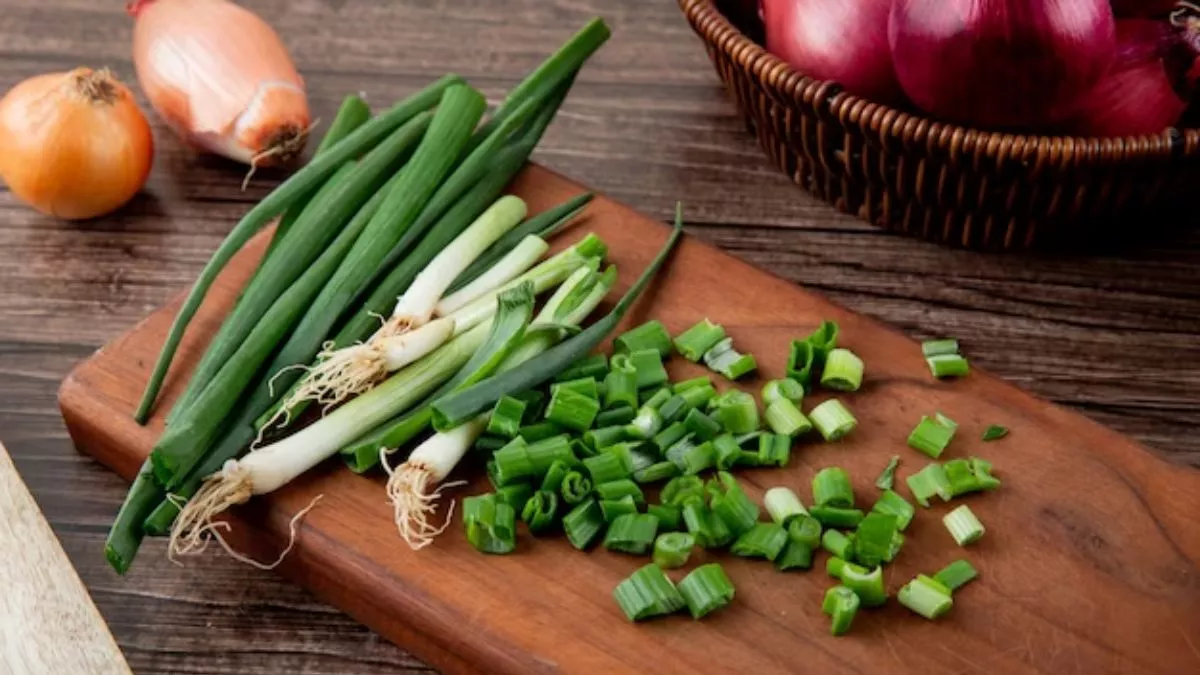 02 12 2023 spring onion 23594994