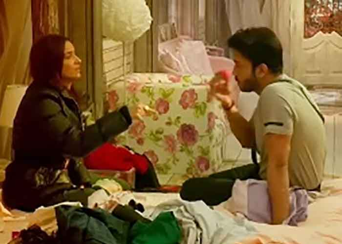 Ankita and Vicky on screen fight led to divorce