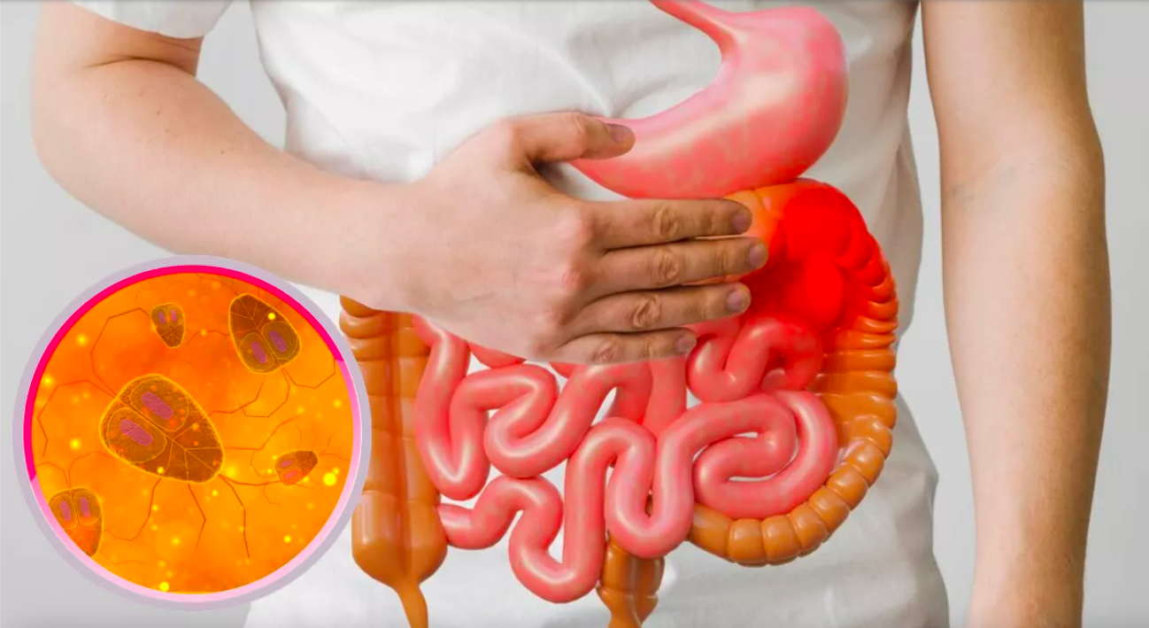 Fatty Liver