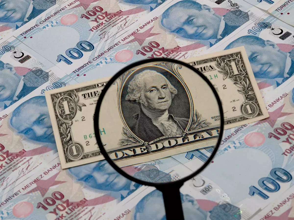 Foreign Exchange Reserves