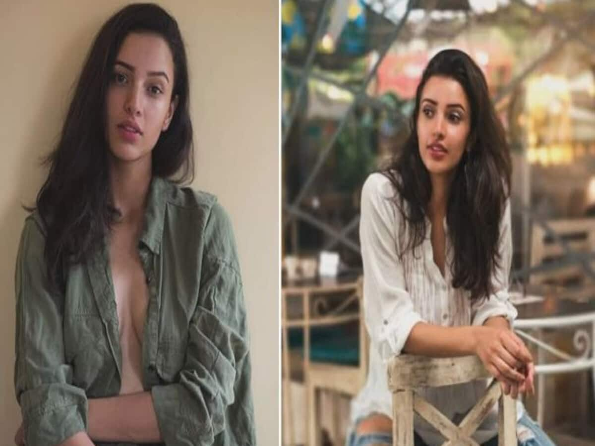Animal Fame Triptii Dimri Dating Businessman Sam Merchant After Anushka Sharma Brother Karnesh Satya Day