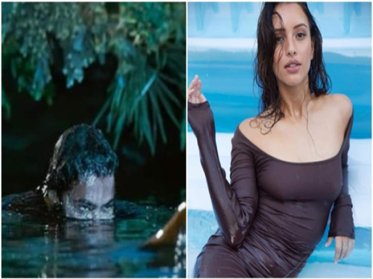 Animal Fame Triptii Dimri Expressed Her Interest In Working With Jr Ntr And Upcoming Movies Mere Mehboob Mere Sanam Vicky Vidya Ka Woh Wala Video Satya Day