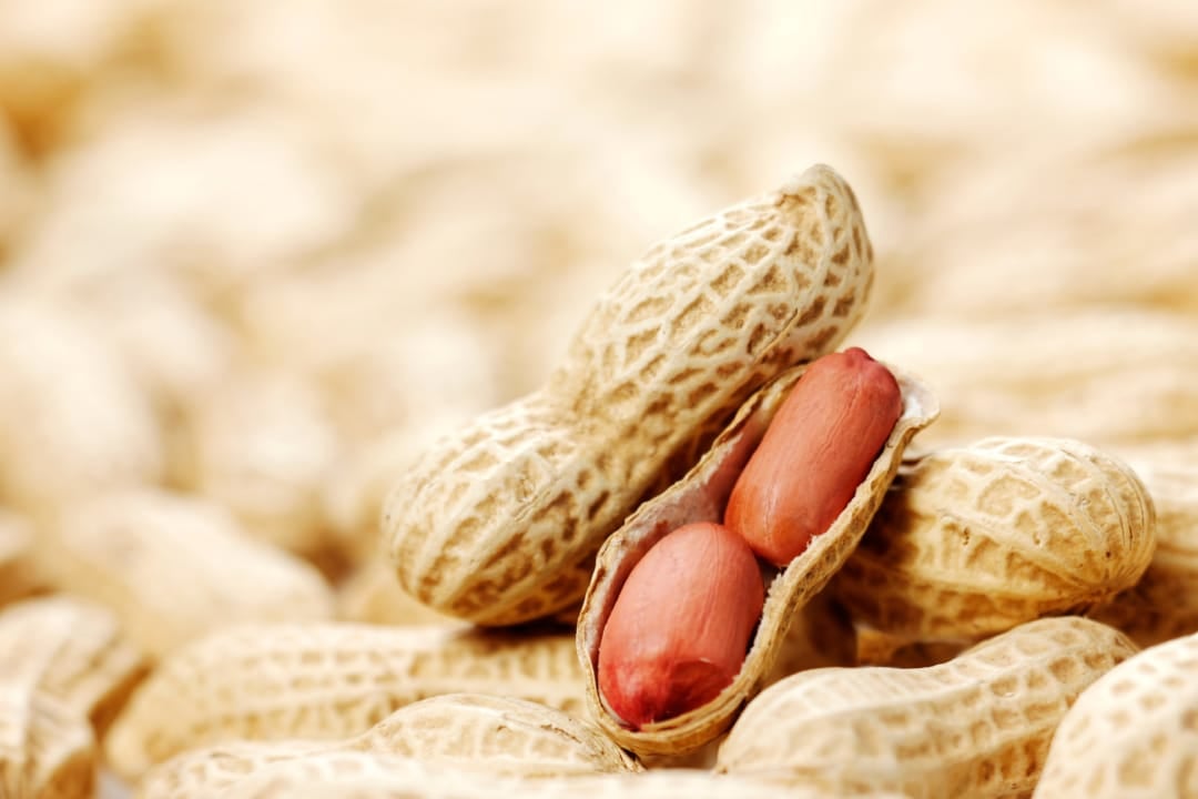 Peanuts Eating