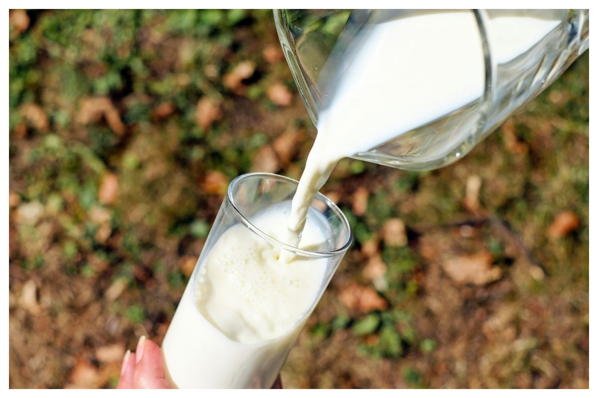 milk
