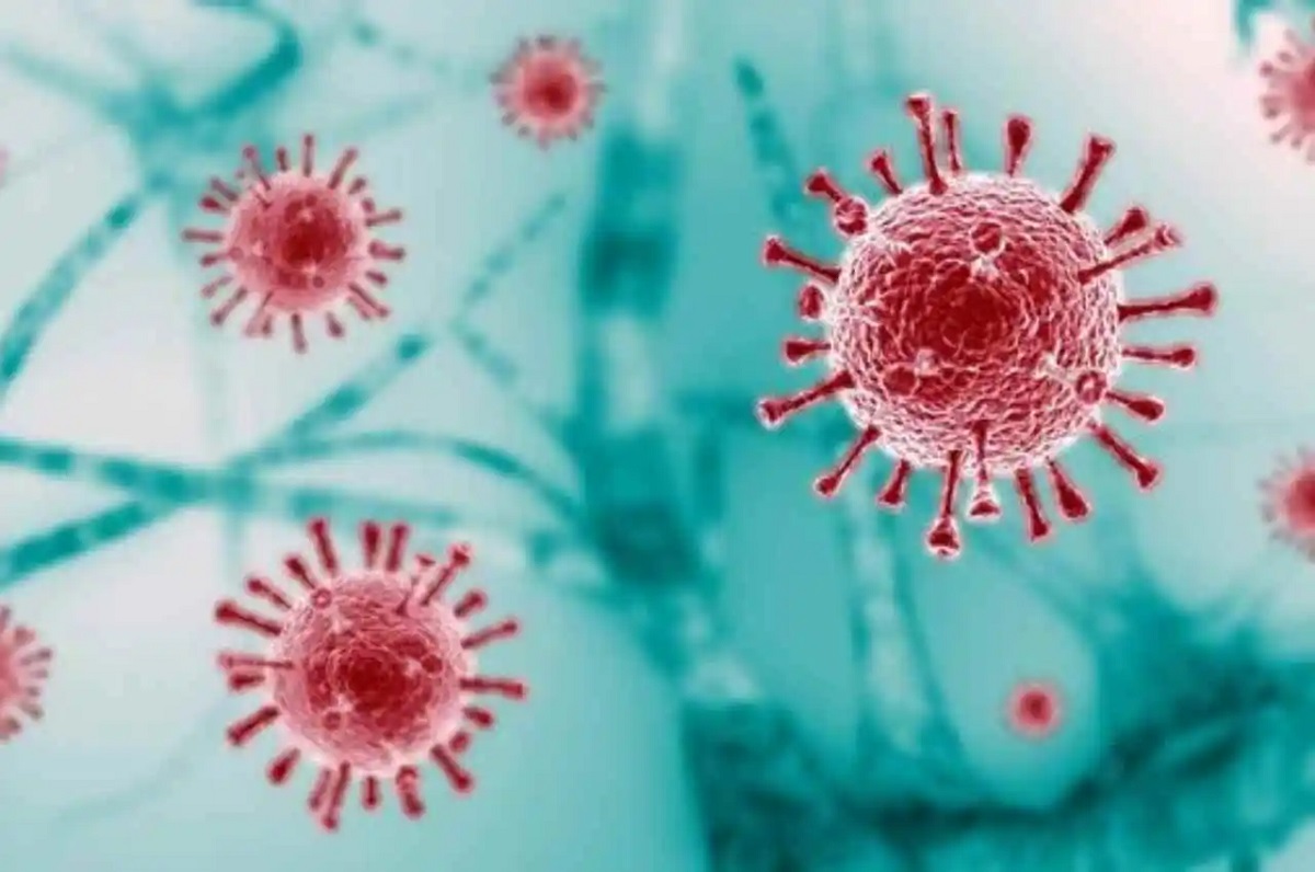 Coronavirus નવા વર્ષ પર 600 થી વધુ લોકોને ચેપ લાગ્યો, 3 લોકોના જીવ લીધા COVID 19 Impact
