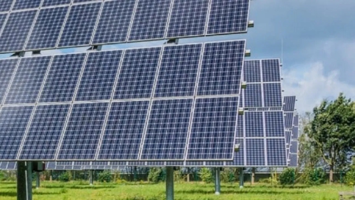 Waaree Energies Q3 Result