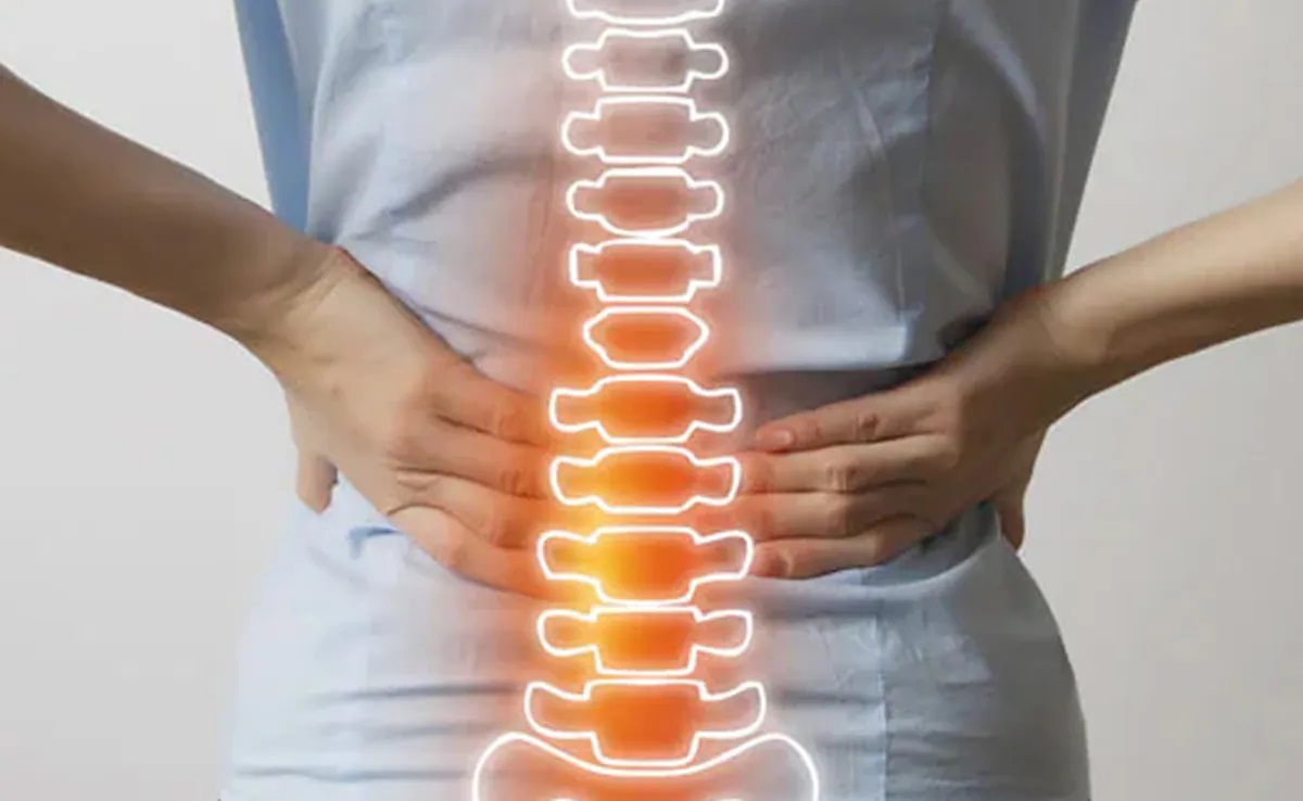 Back-Bones