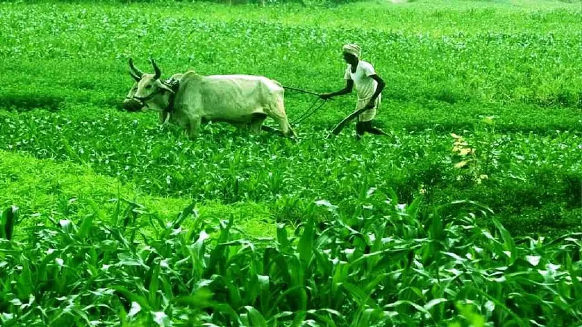 farmar