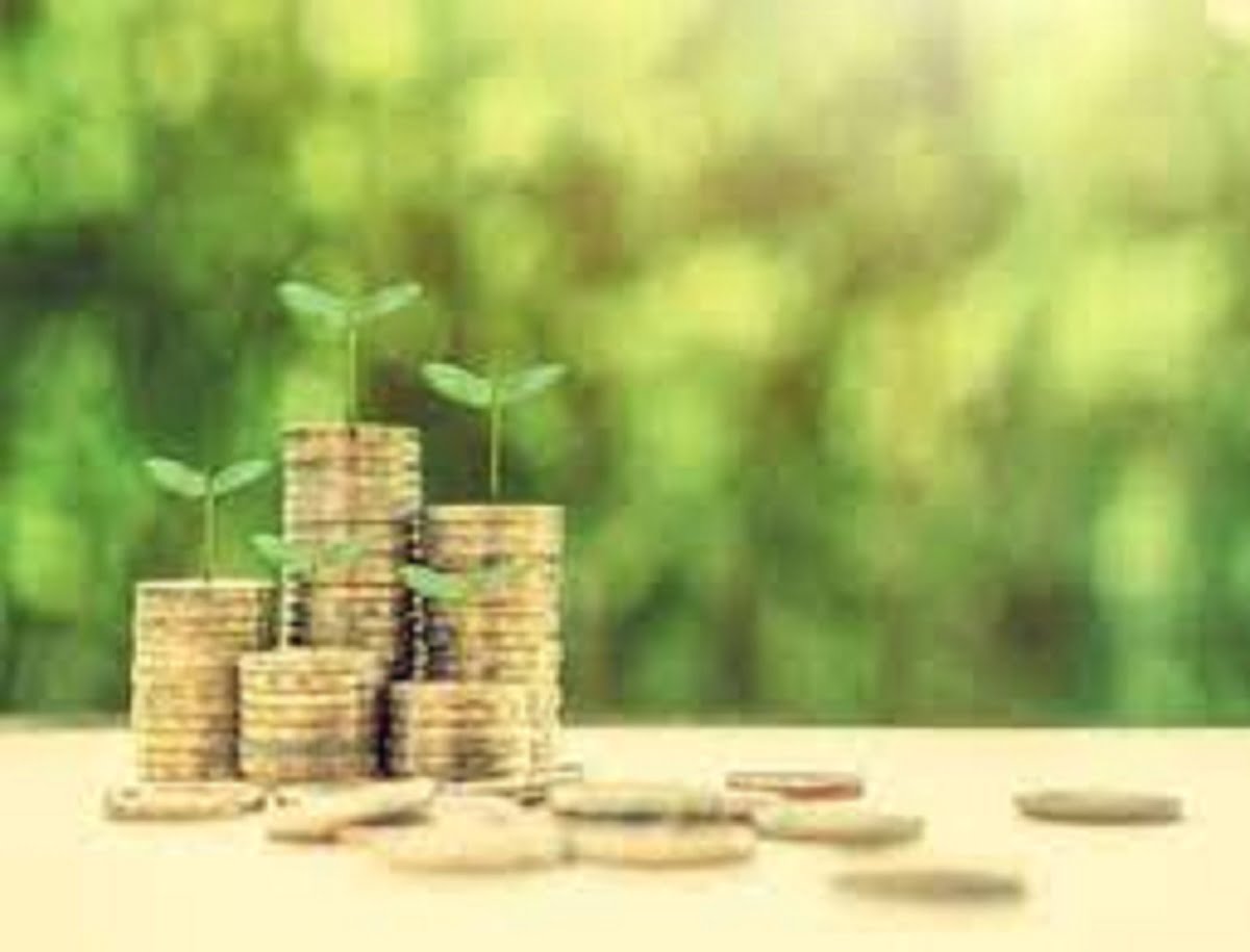 Green Fix Deposit Satya Day